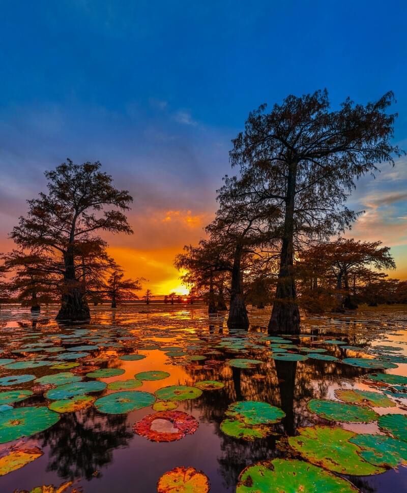 caddo2